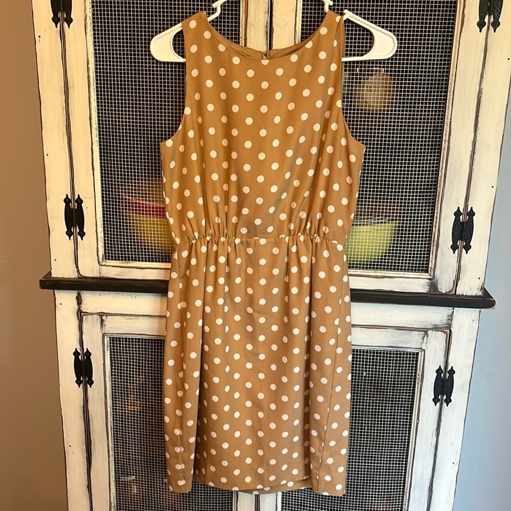 J. Crew Women’s Tan & White Polka Dot Sleeveless Causal Career Dress Size 0